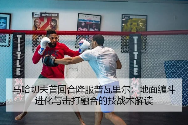 马哈切夫首回合降服普瓦里尔：地面缠斗进化与击打融合的技战术解读