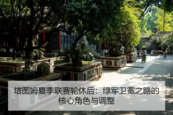 ta-tu-mu-xia-ji-lian-sai-lun-xiu-hou-lv-jun-wei-mian-zhi-lu-de-he-xin-jue-se-yu-tiao-zheng-3-214.jpg